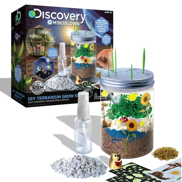 DYI Terrarium Growkit