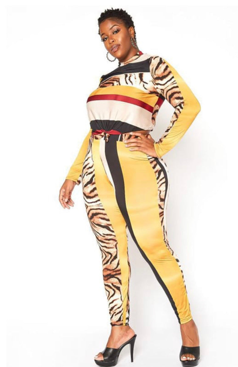 Color Blocking Patchwork Zebra Set