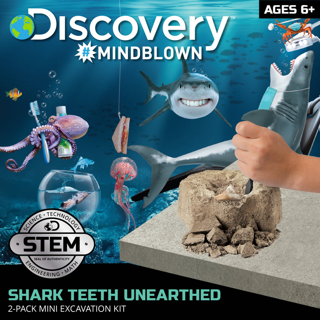 Shark Teeth Unearthed